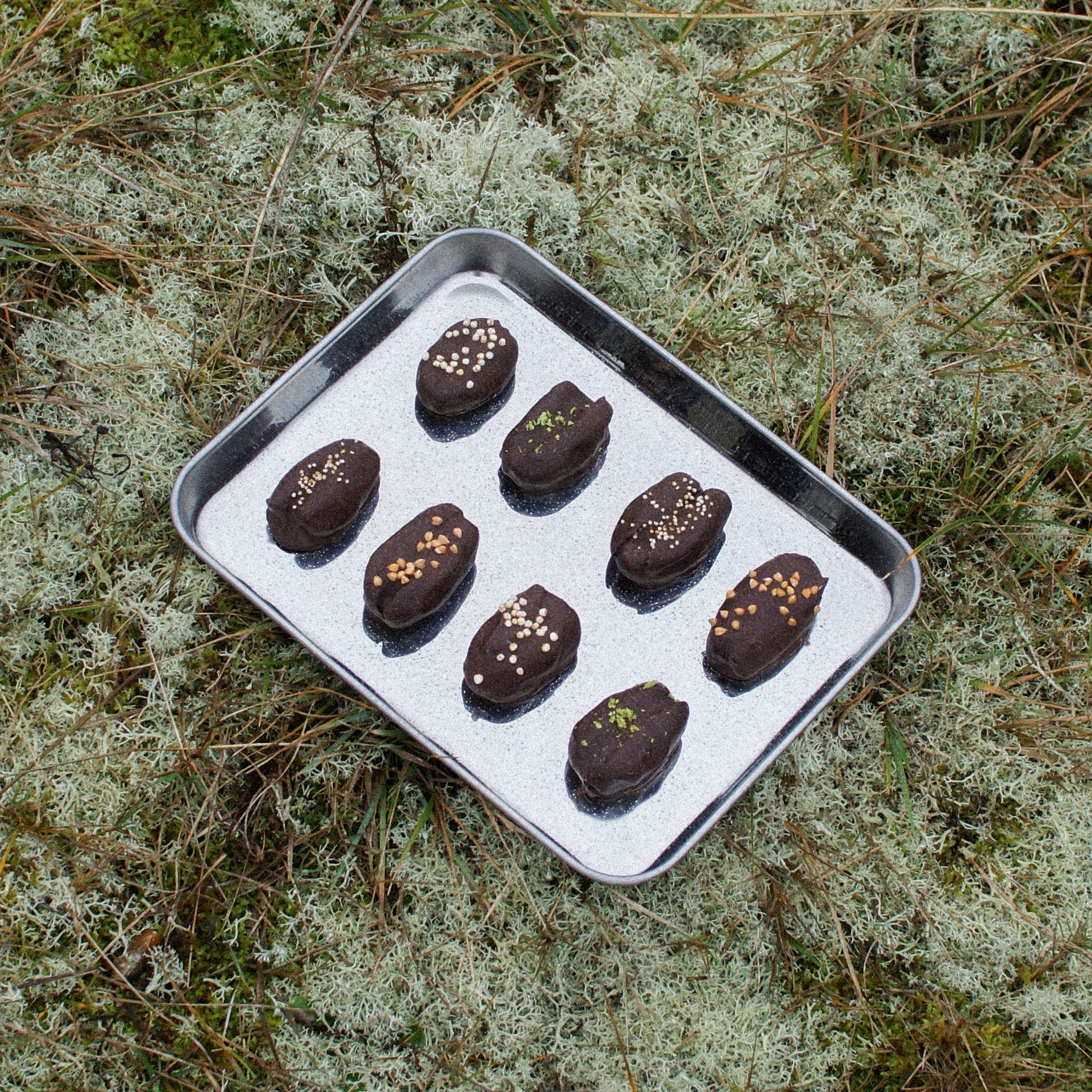 Smagspakke – Nøddesmør Chokolade Dadler - Humble